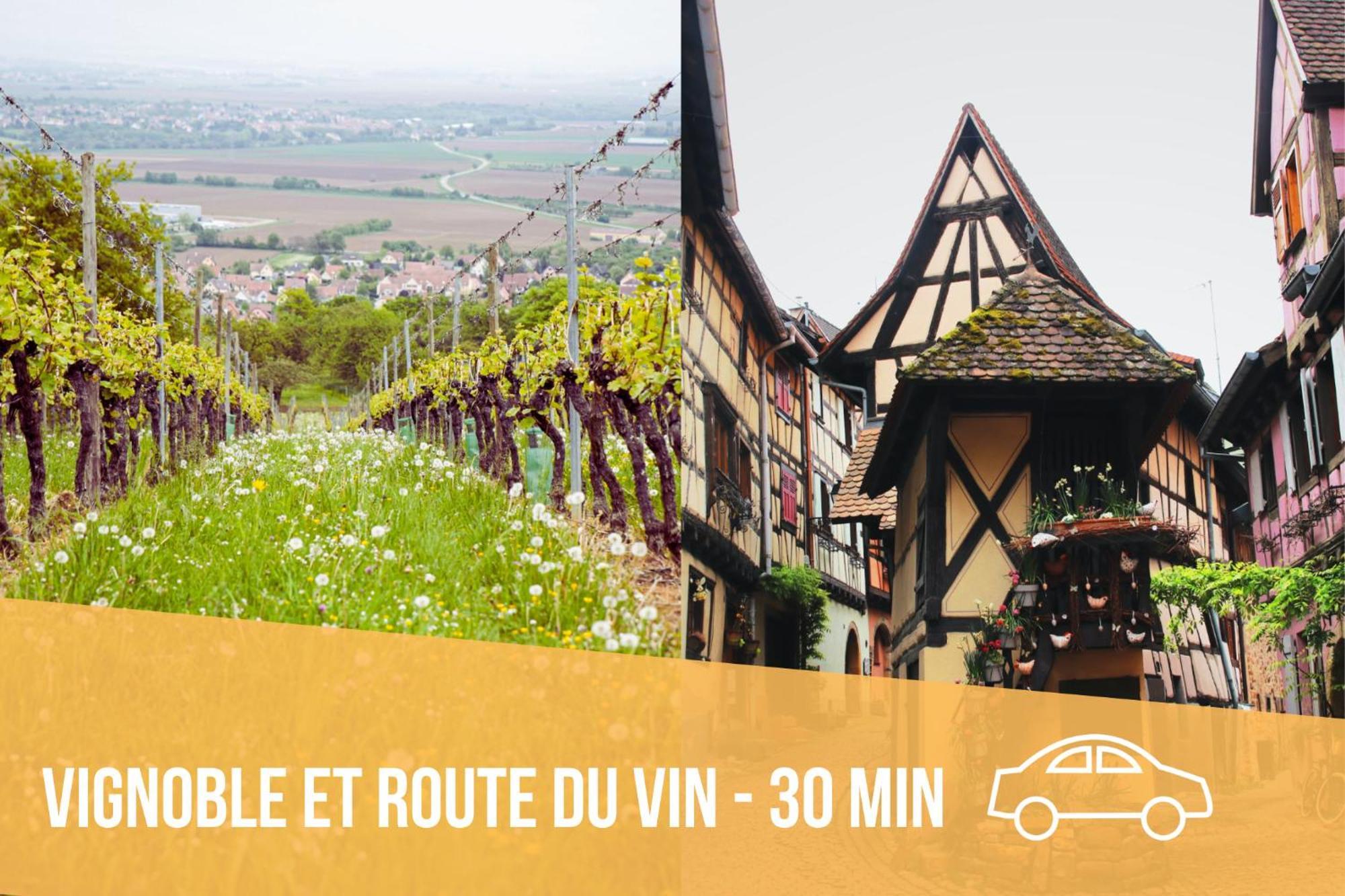 Les Pinots D'Alsace - 3 Bungalows Climatises Avec Tv - Proche Europa Park Boofzheim Cameră foto